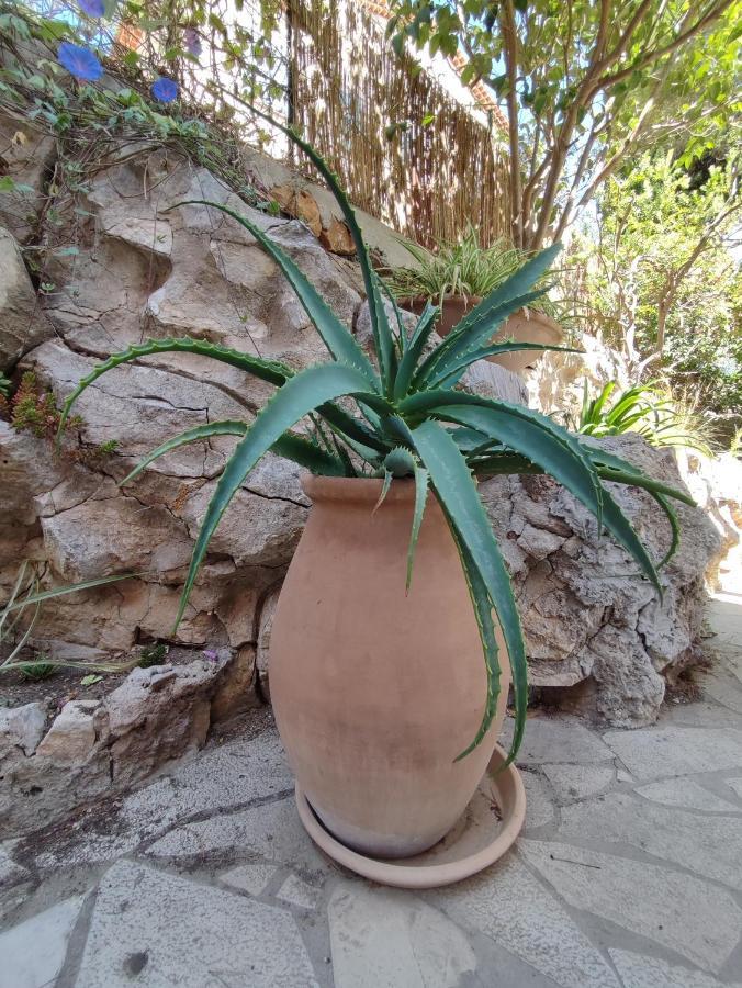 Les Galets Hotel Et B&B Bandol Zewnętrze zdjęcie